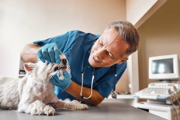 Best After-Hours Emergency Dentist in Hamburg, AR