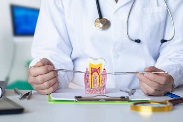 Best Emergency Tooth Extraction in Hamburg, AR